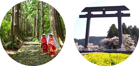 熊野古道大門坂・熊野本宮大社
