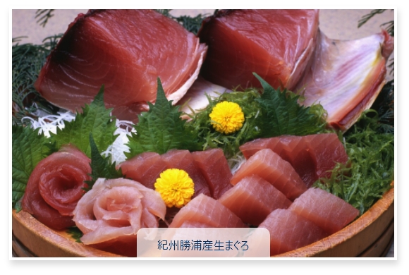紀州勝浦産 生マグロ
