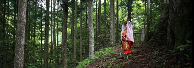 熊野古道中辺路・発心門王子付近